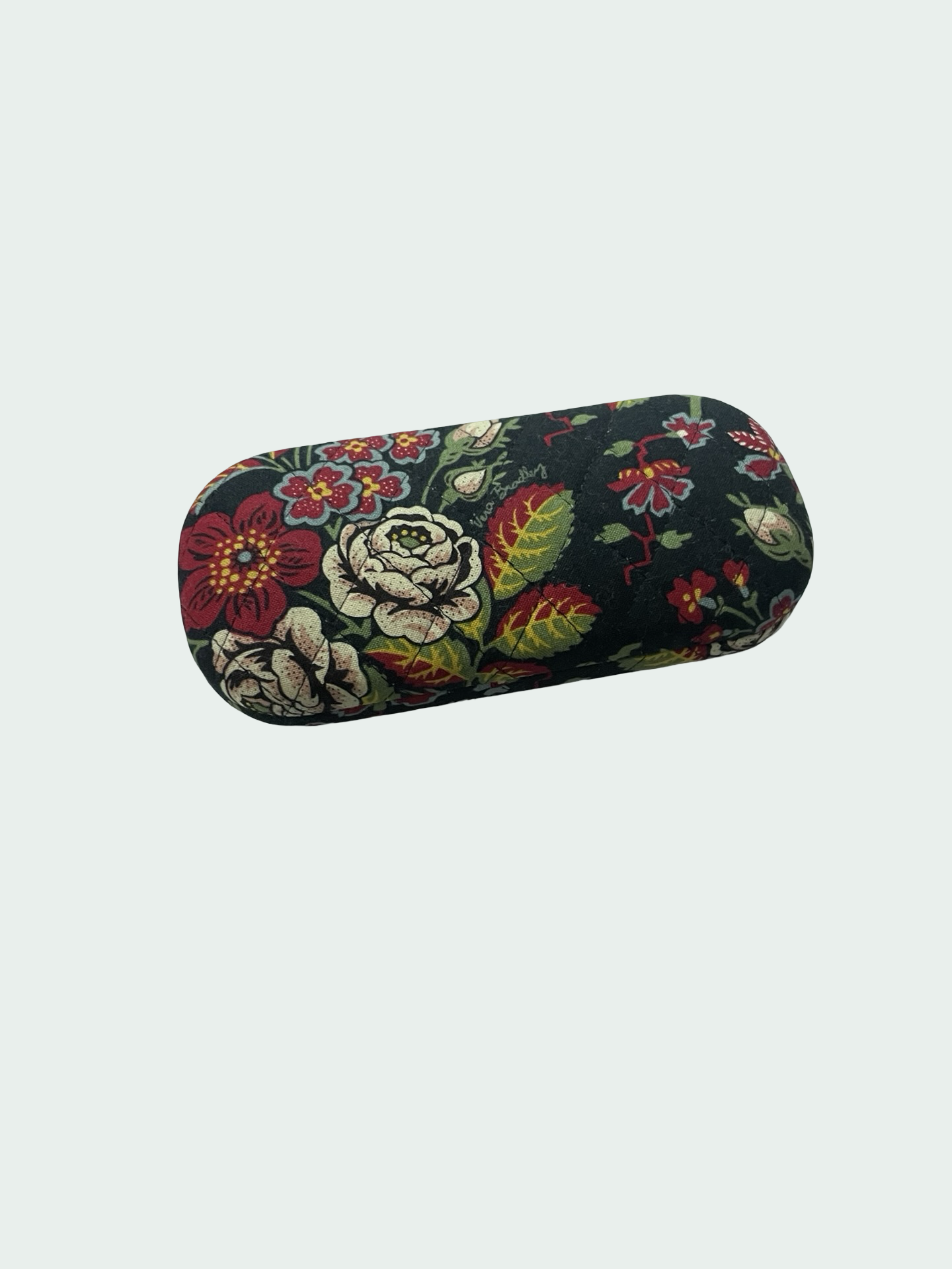 Glasses Case