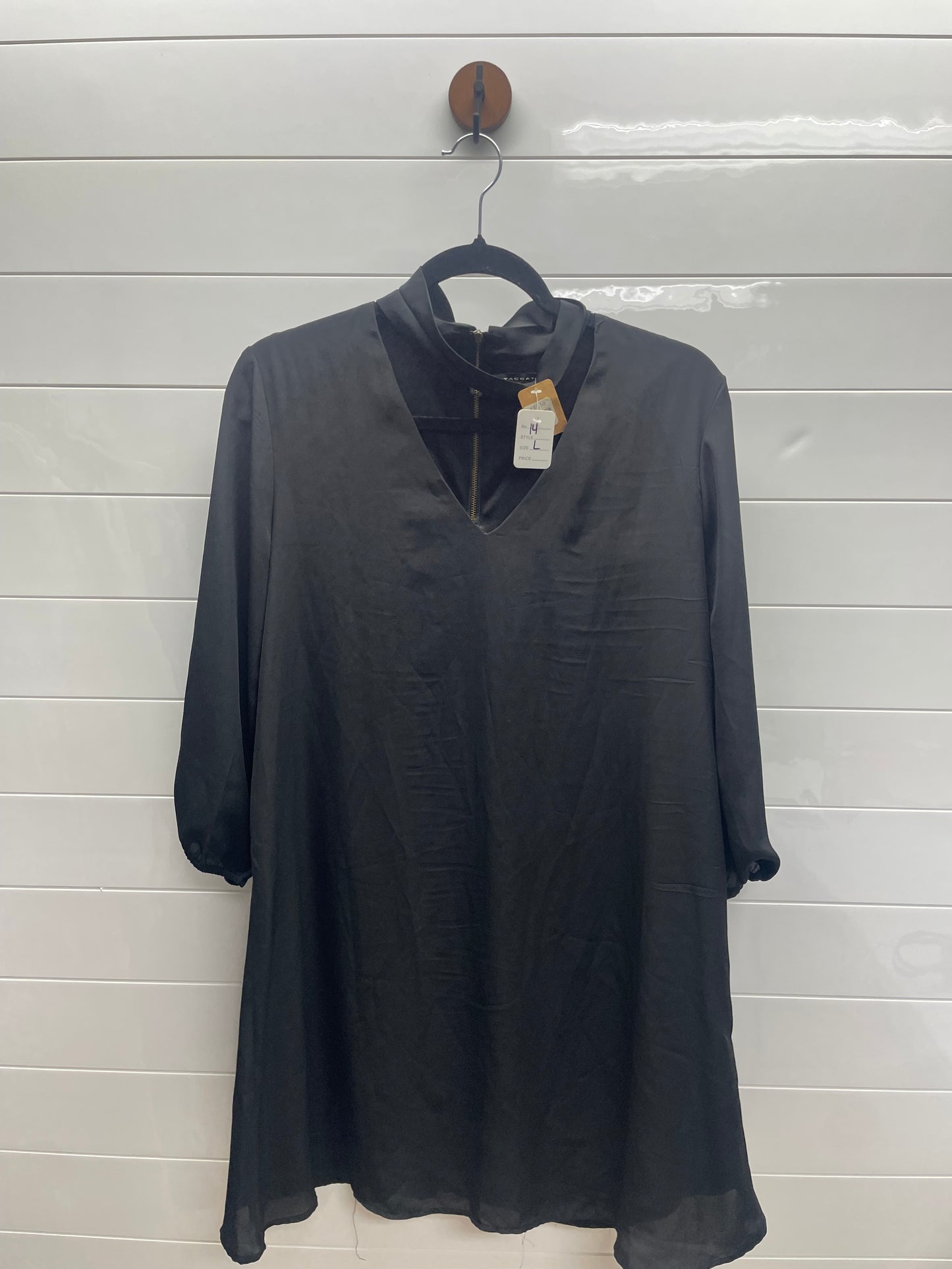 Women’s Large Dress