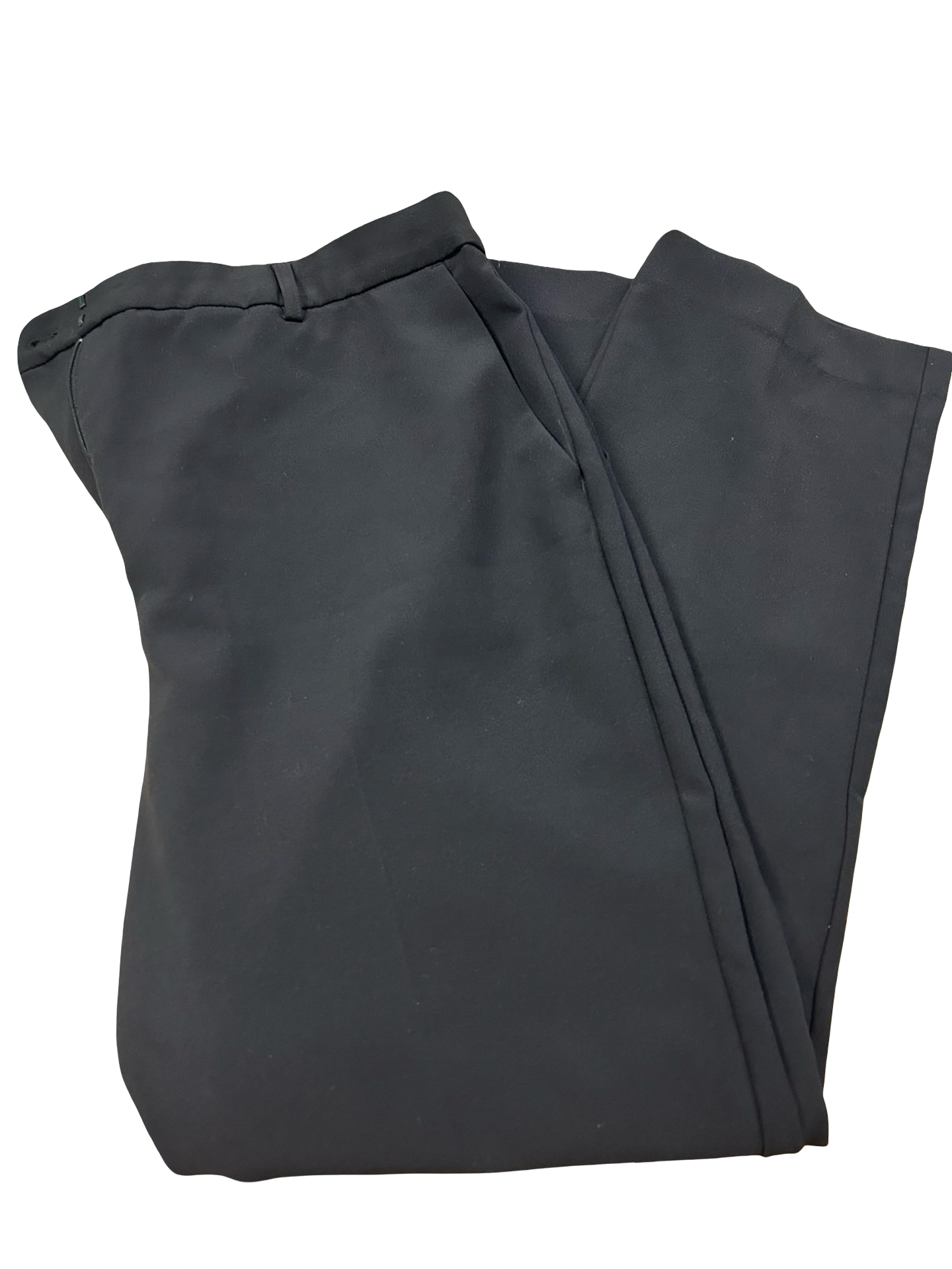 Women’s 16 L Dress Pants