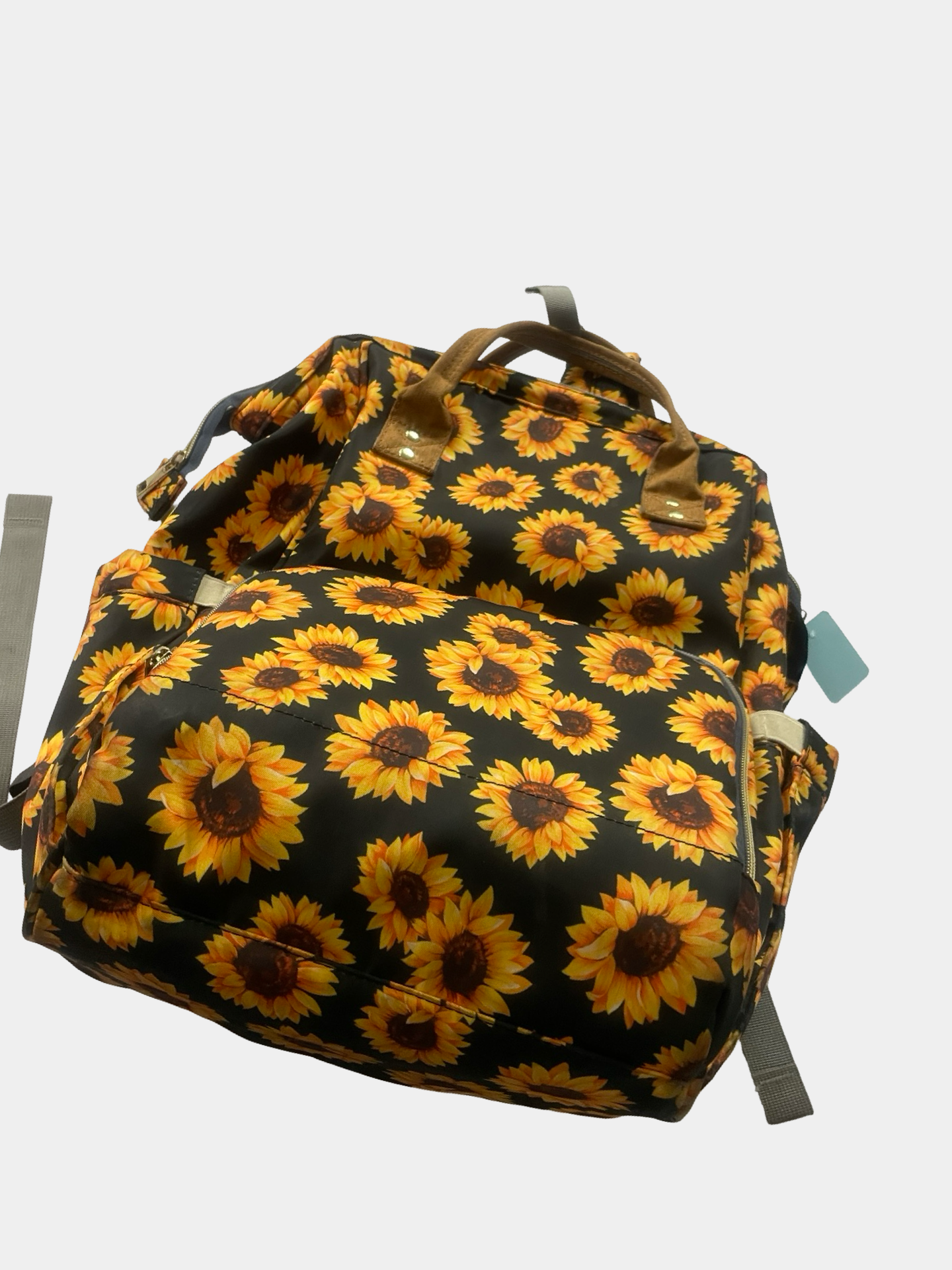 Backpack (Inside Stains)
