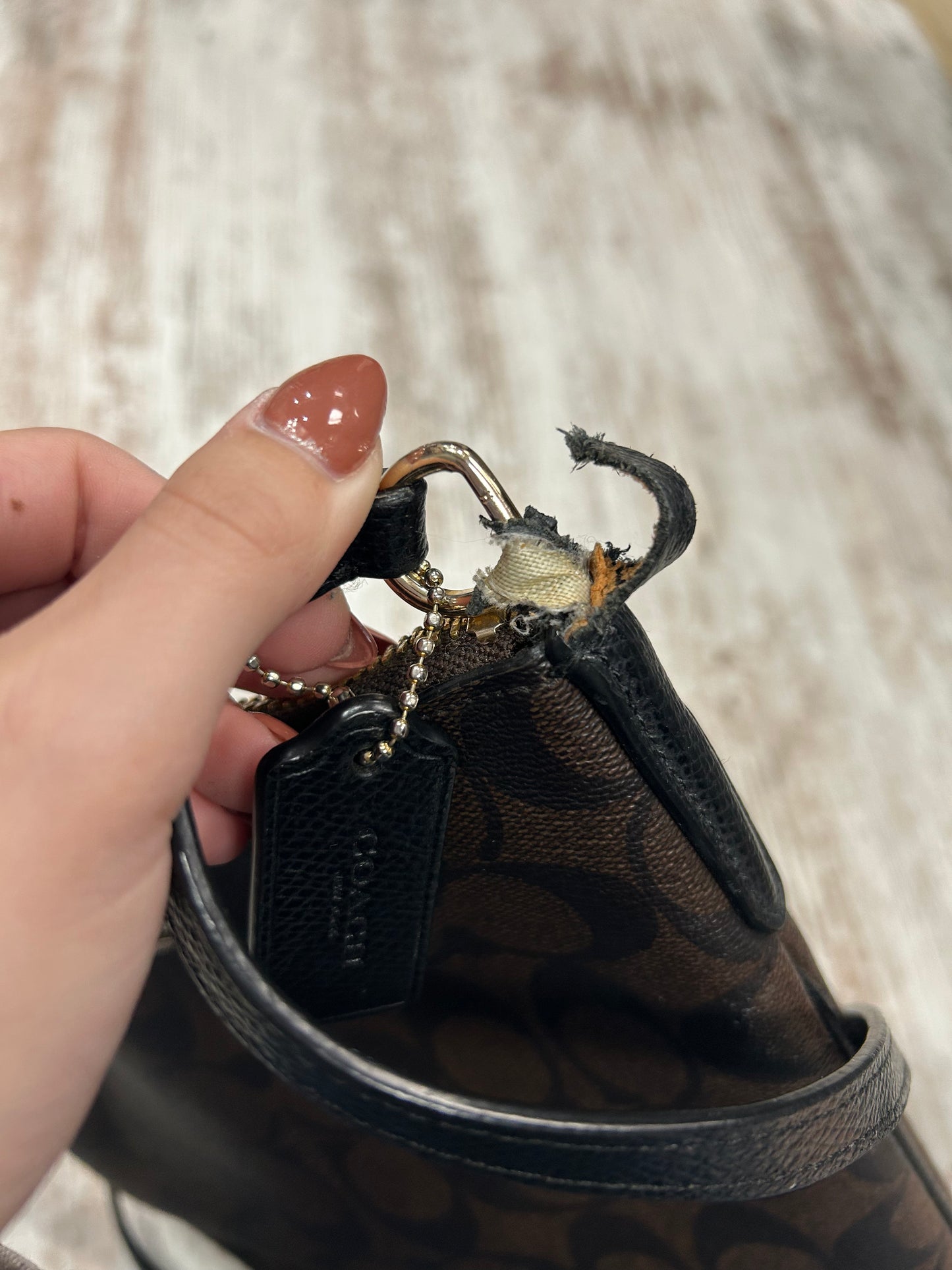 Coach Purse(Rip)