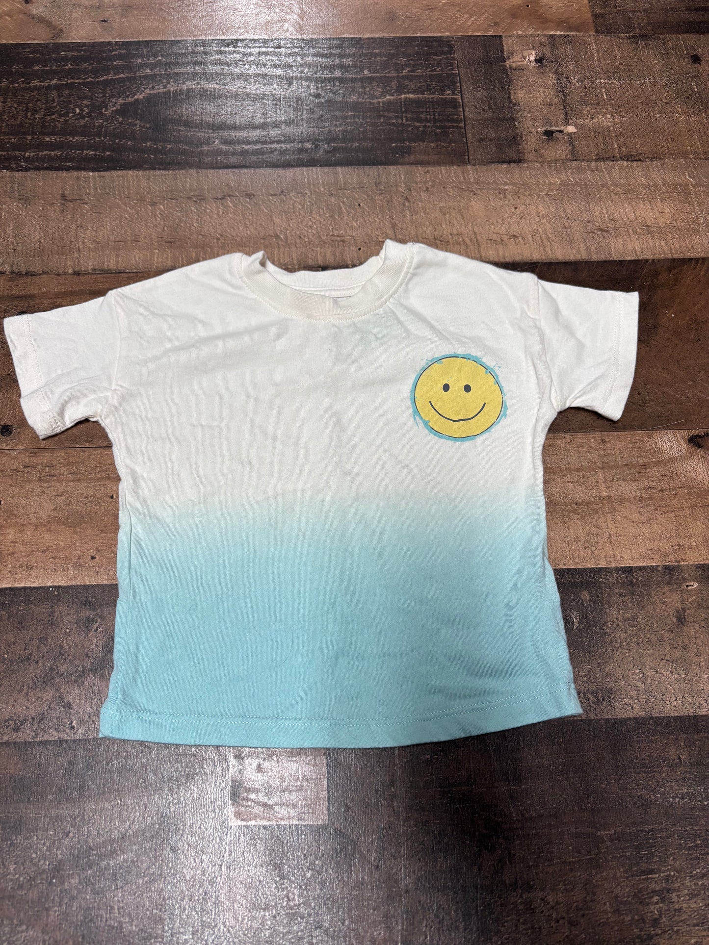 Boys 18mo shirt