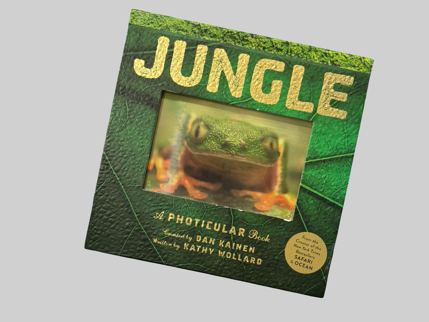 Book - 3D pictures