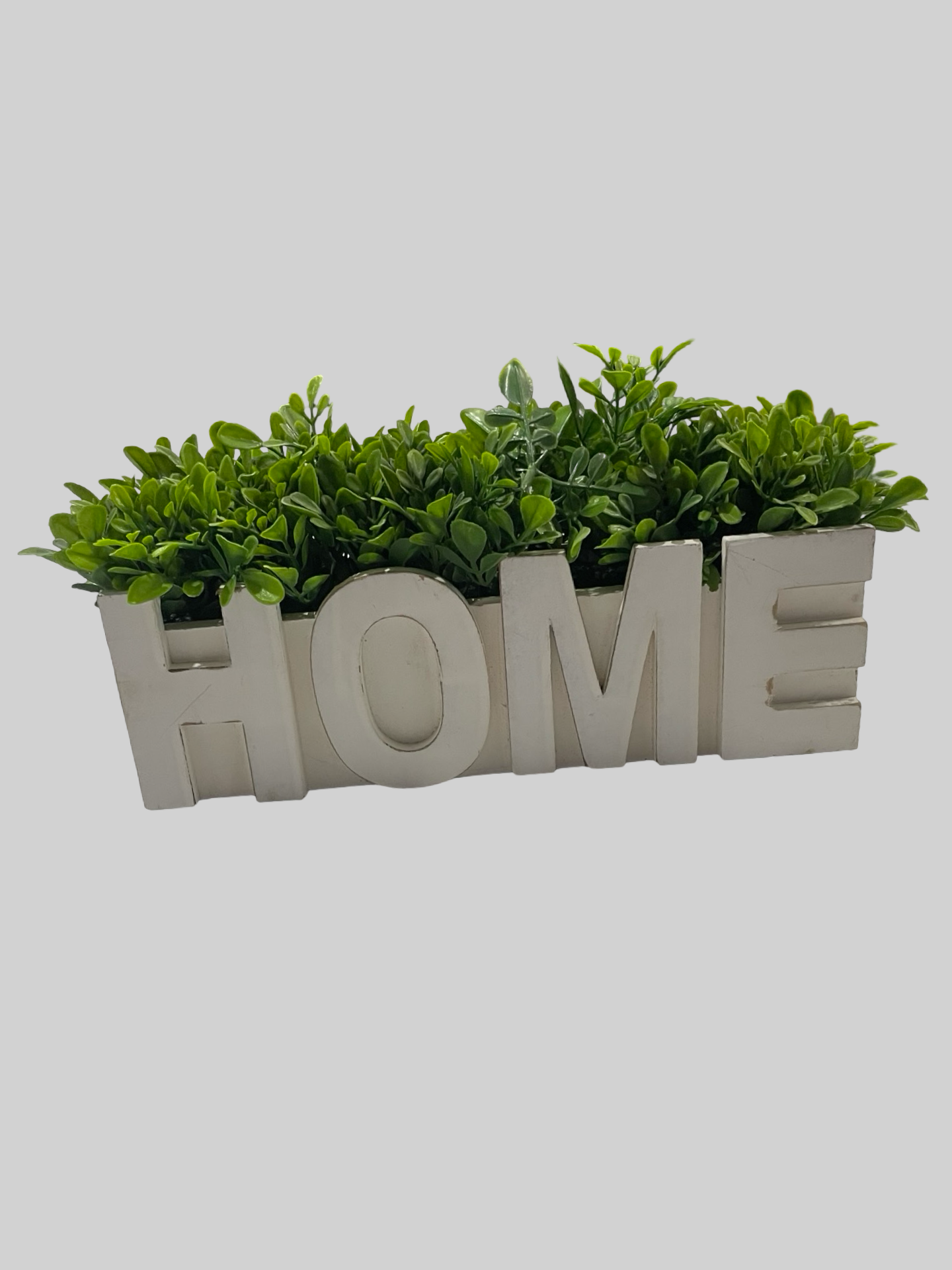 HOME plant decor