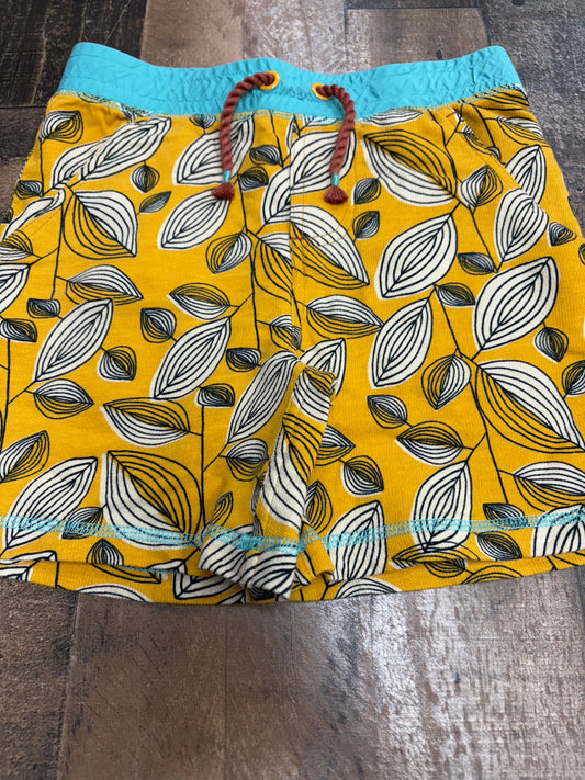 Boys 6 Matilda Jane Shorts