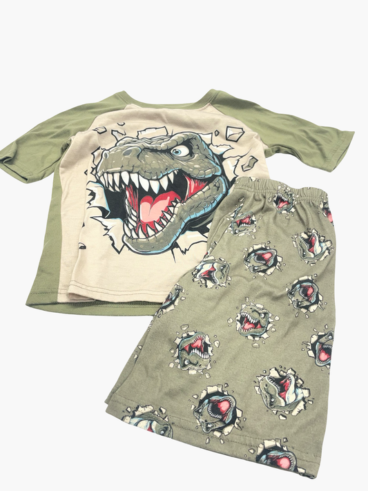 Boys 8 pj set