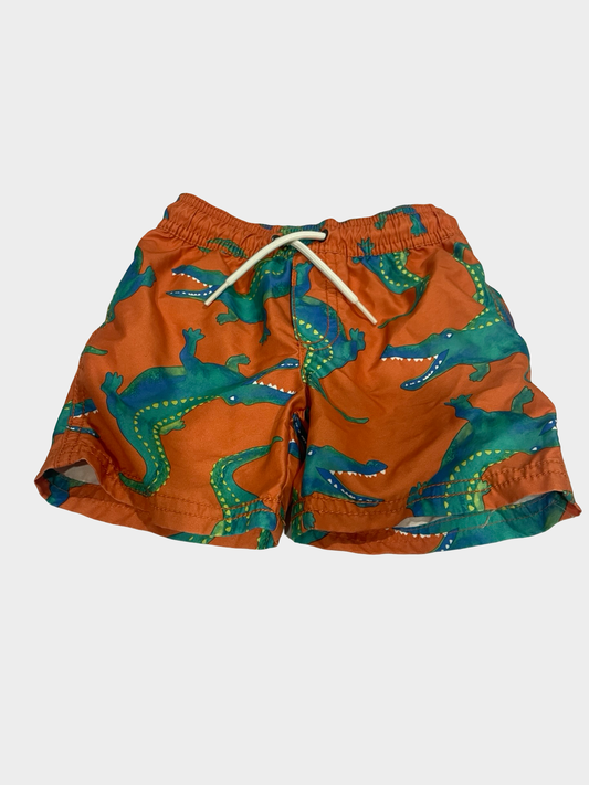 Boys 2T Swim Trunks