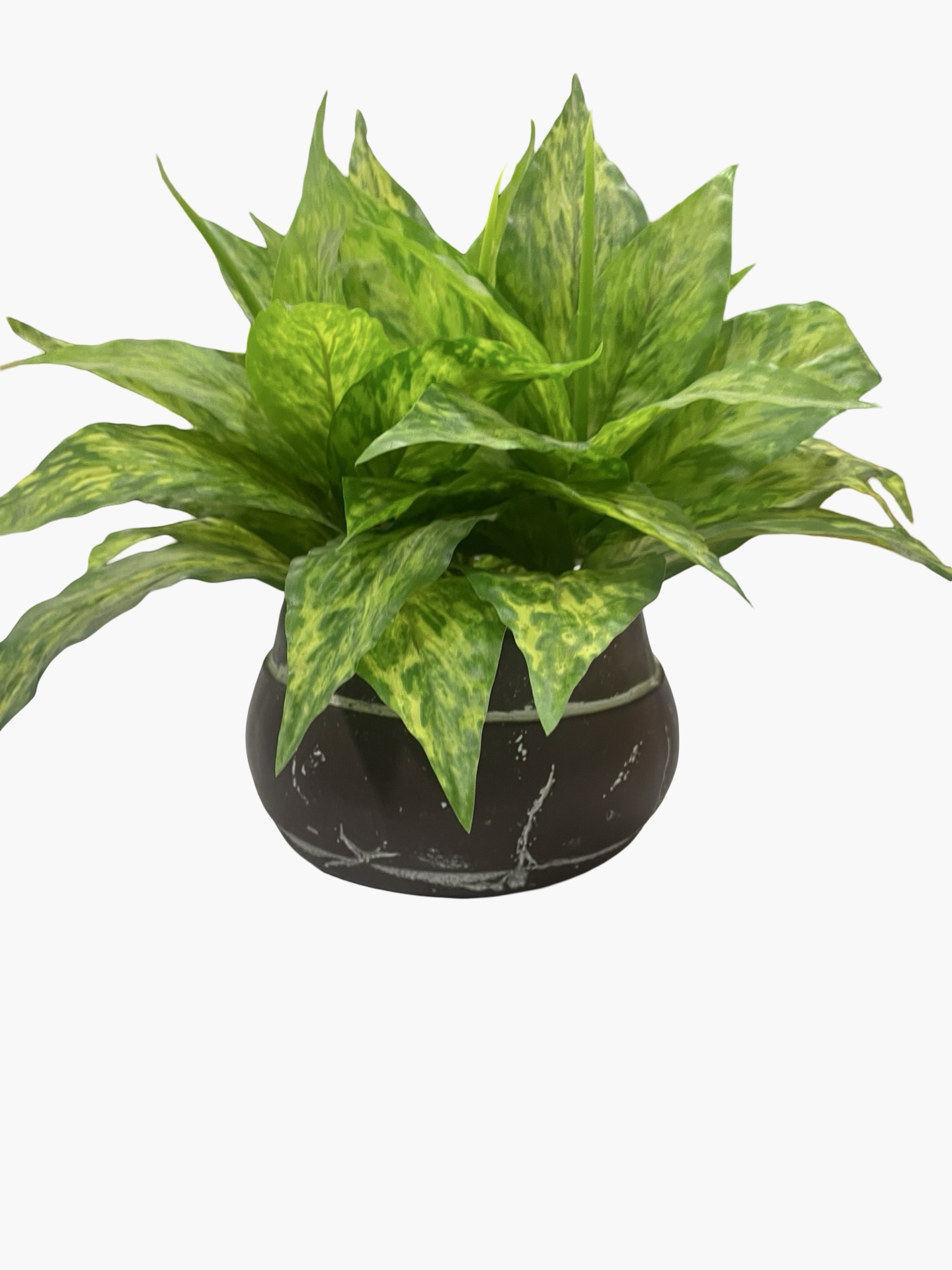 Fake Plant
