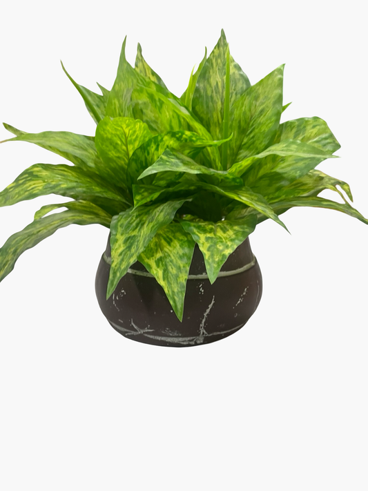 Fake Plant