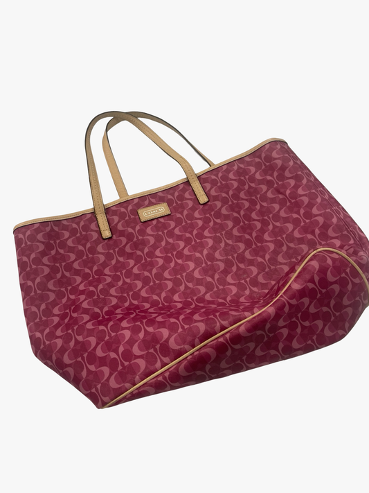 Coach Purse (Stain)