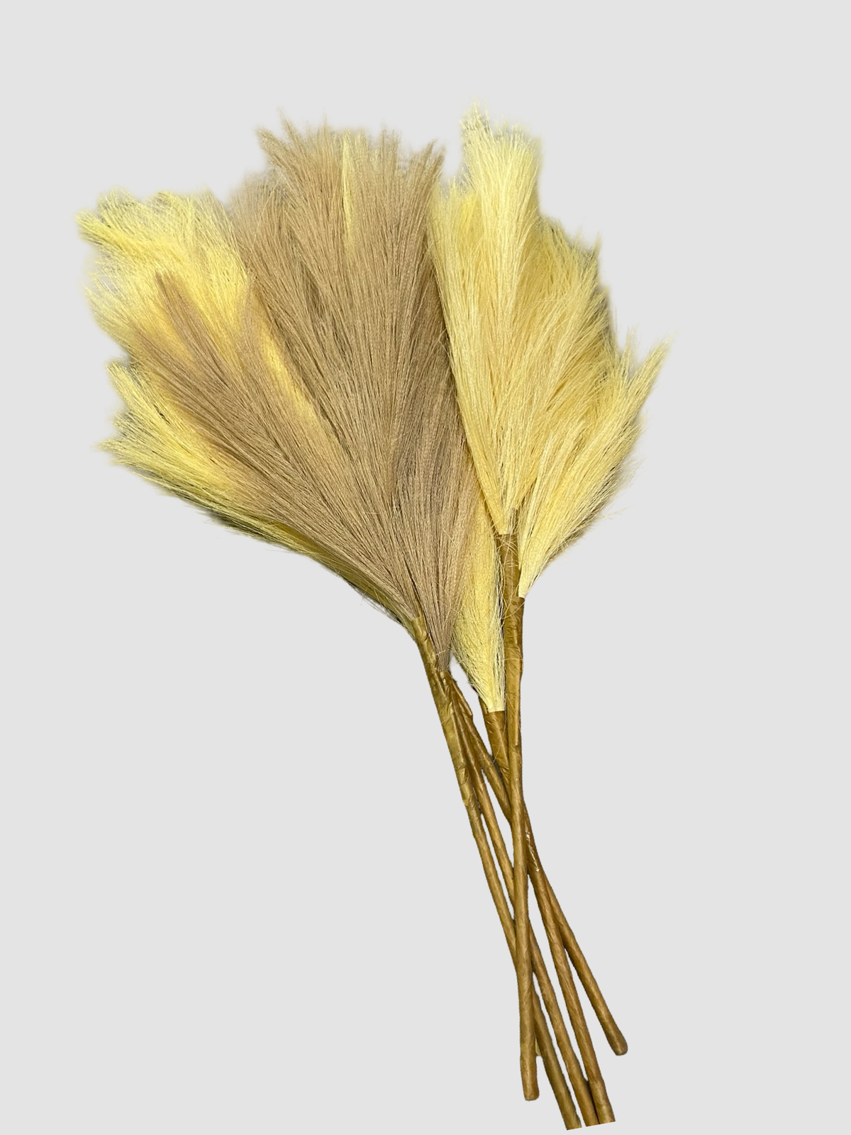 Pampas