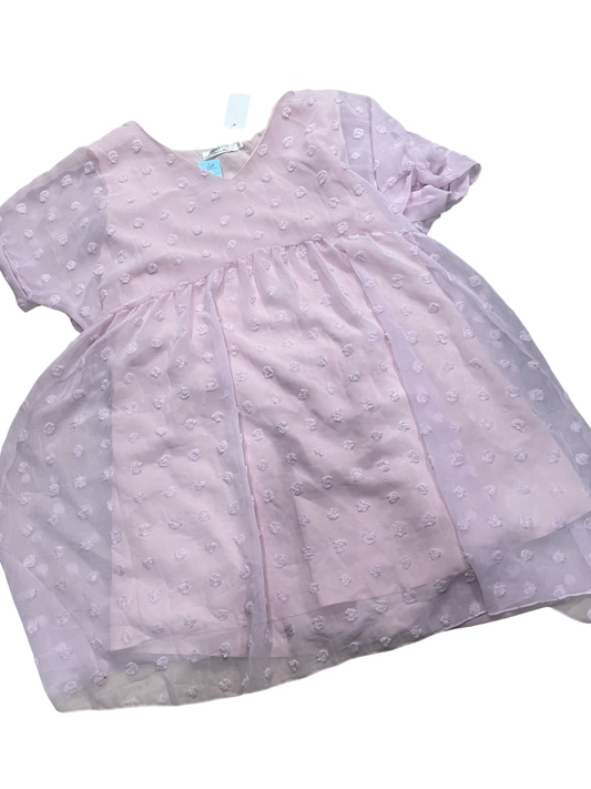 Women’s 2X NwT Dress