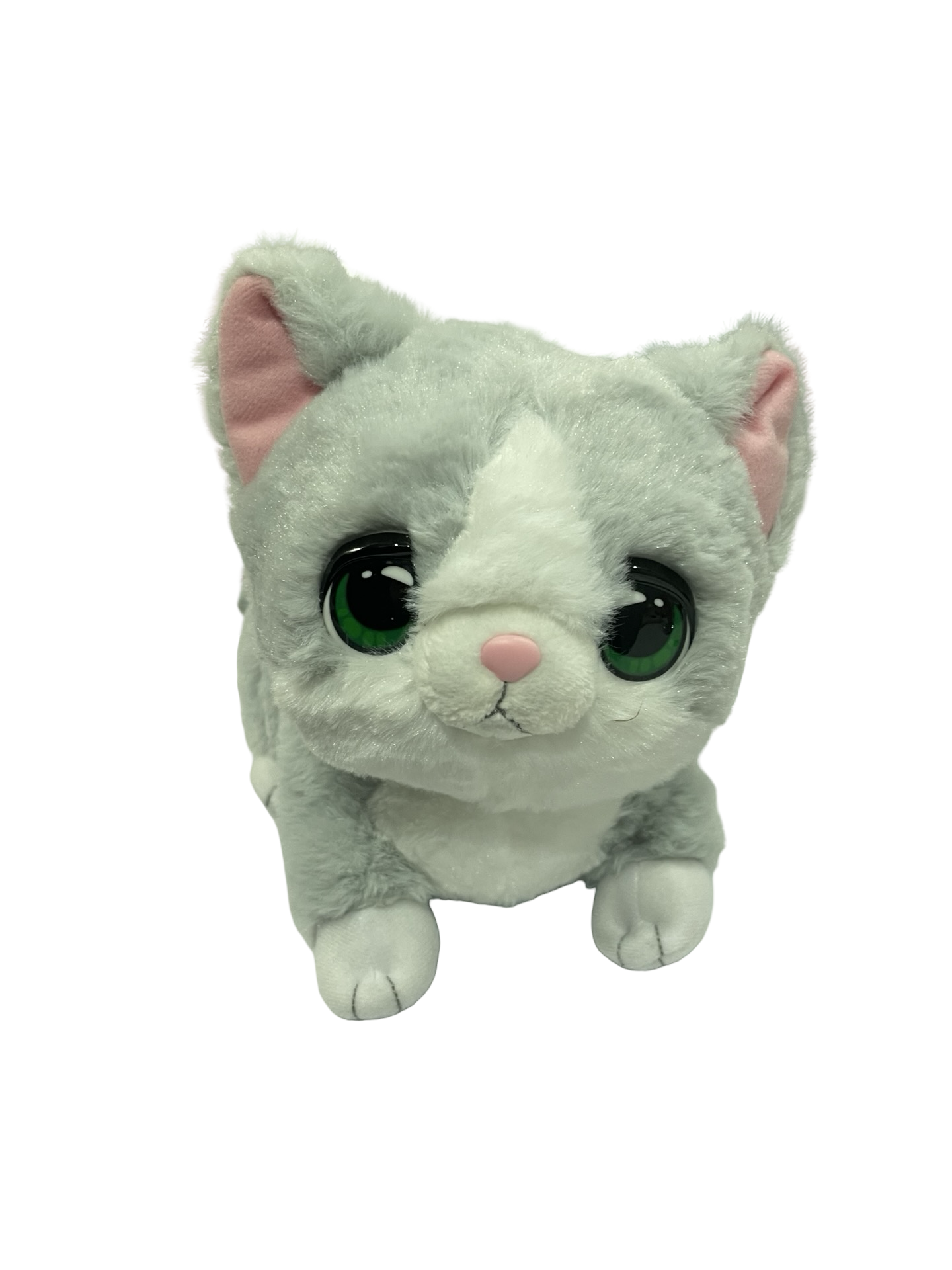 Toy