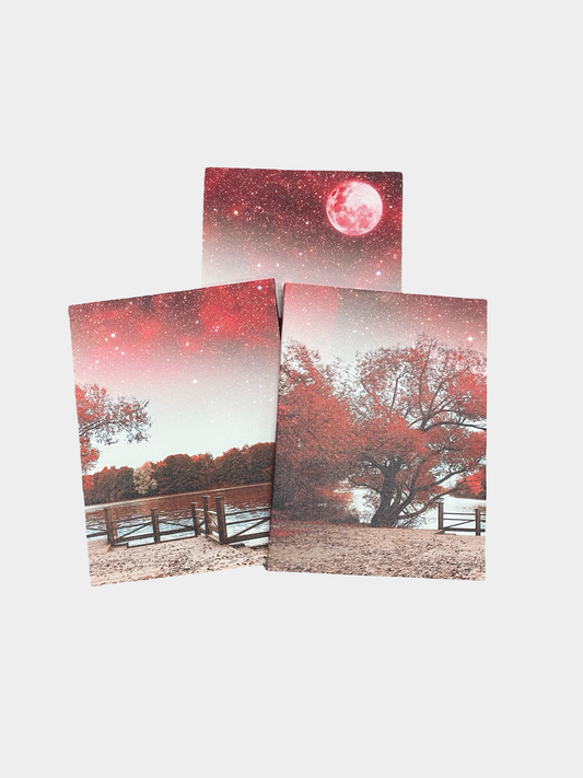 Pictures