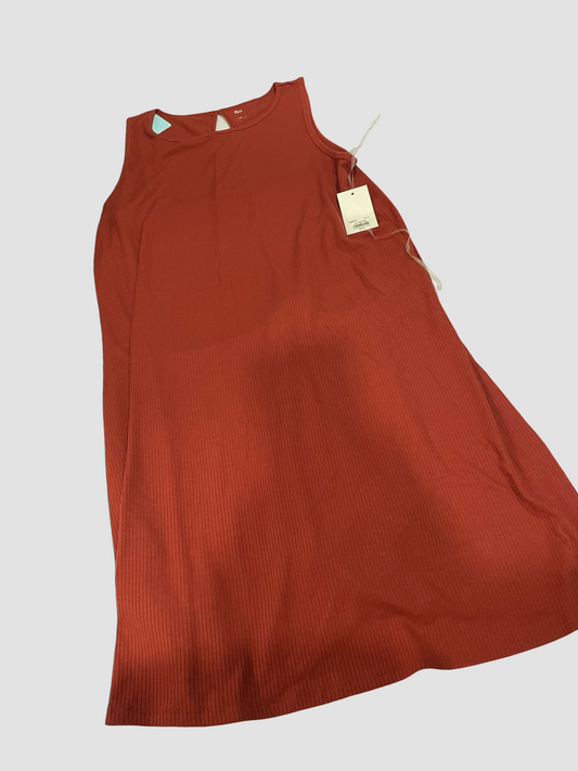 Women’s dress NWT 2X