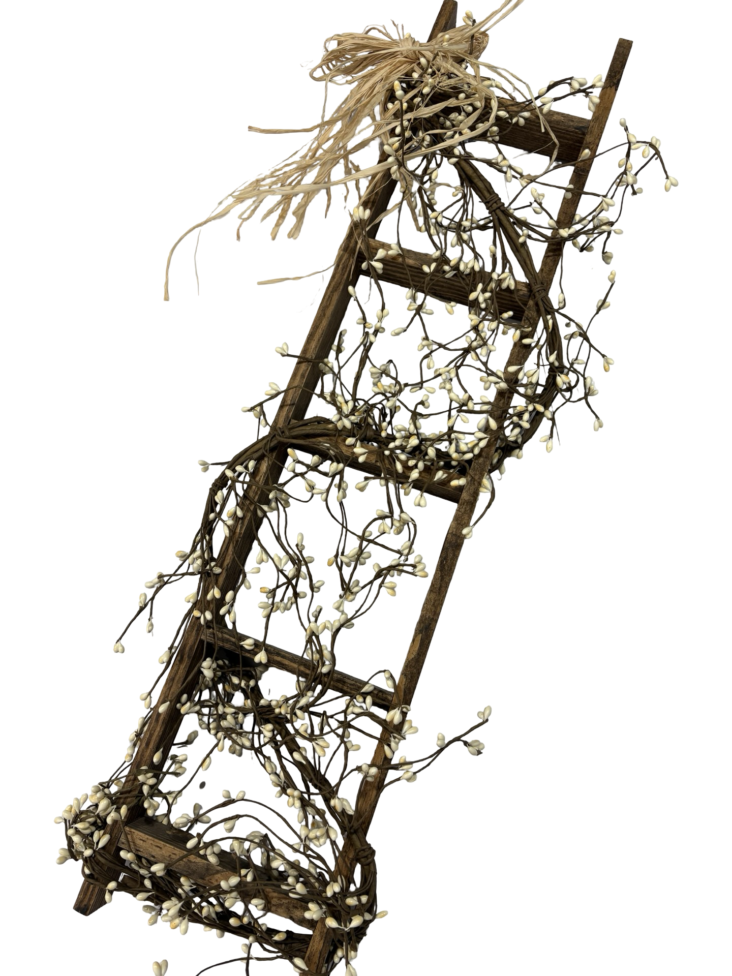 Primitive decor ladder
