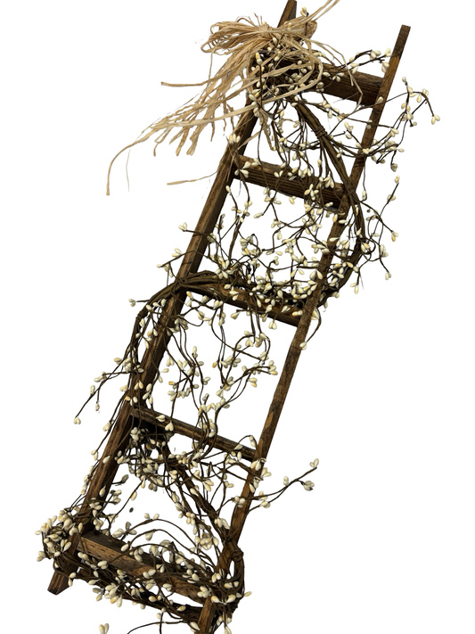 Primitive decor ladder