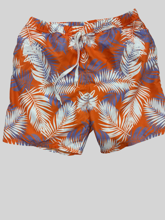 Boys swim trunks 10/12