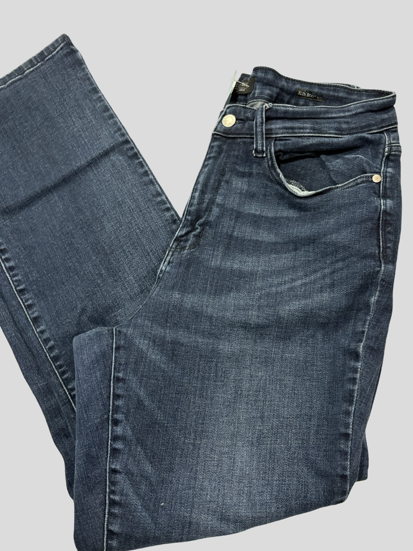 Women’s Judy Blue jeans size 14W