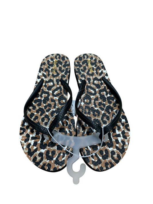 Womens 8 sandals