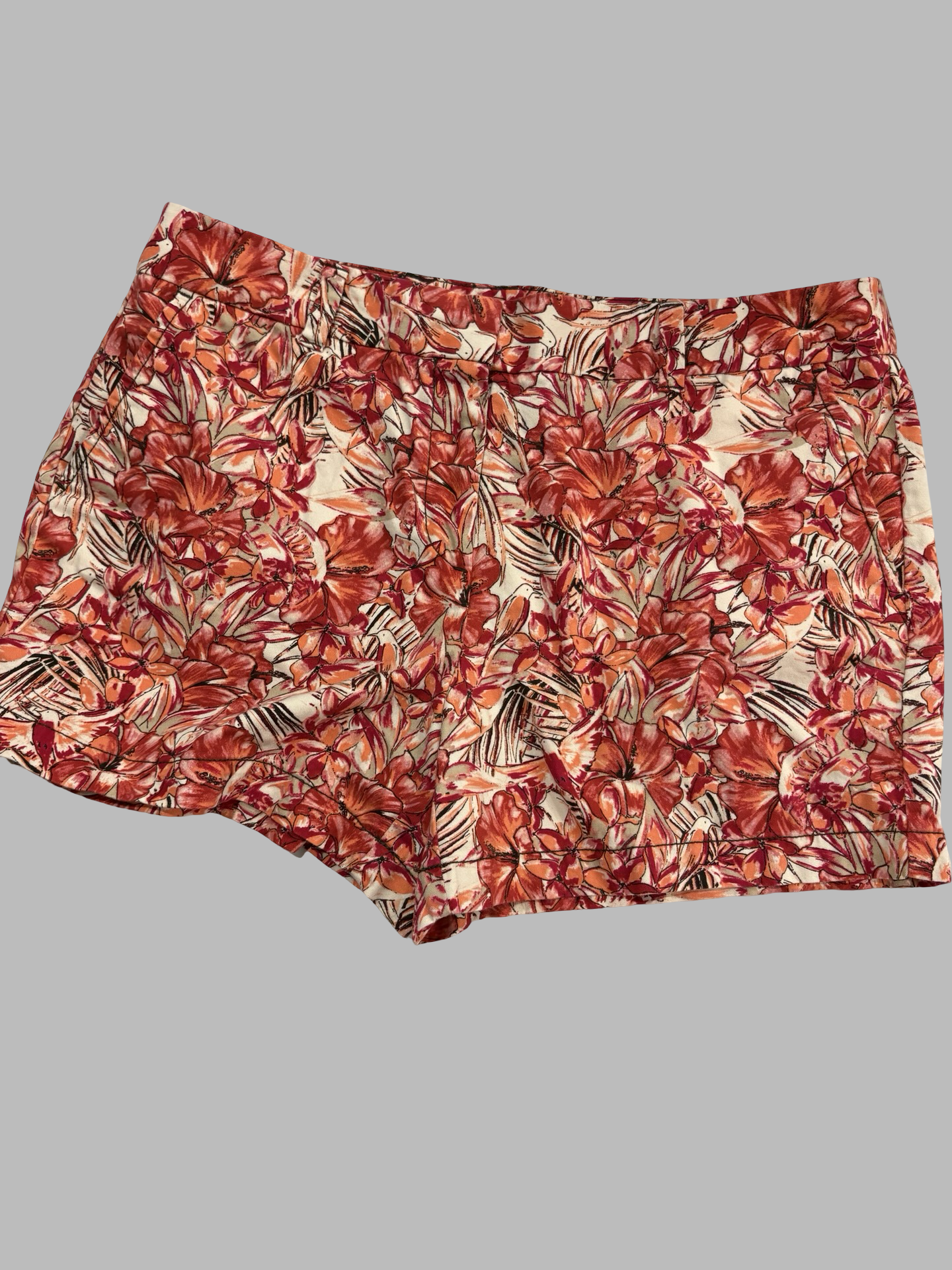 Women’s loft shorts size 8