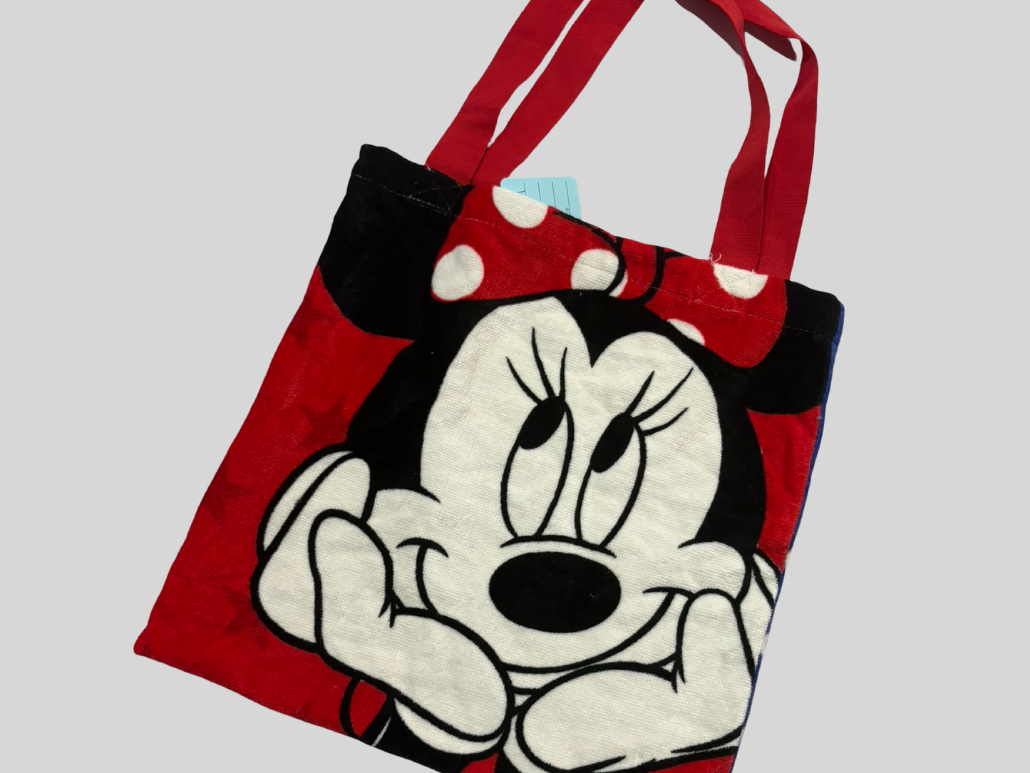 Mickey Mouse swim bag