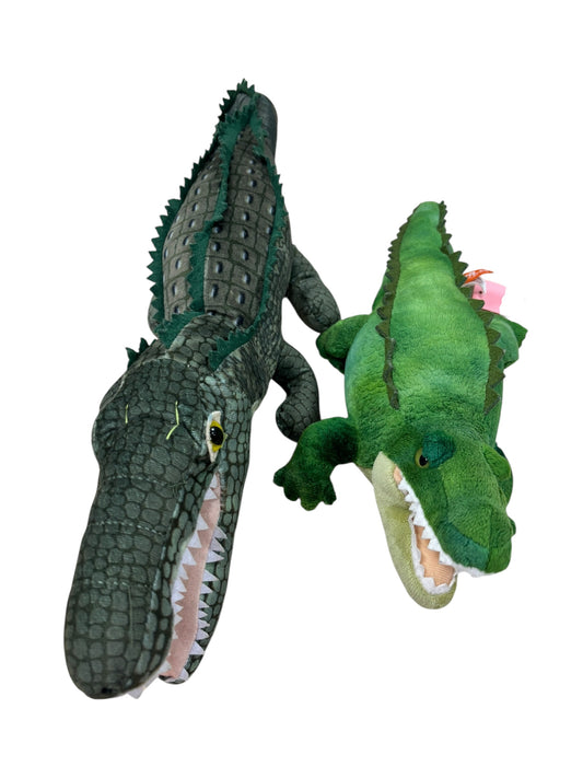 Alligator studies