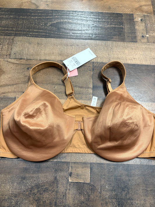 44DD Bra nwt
