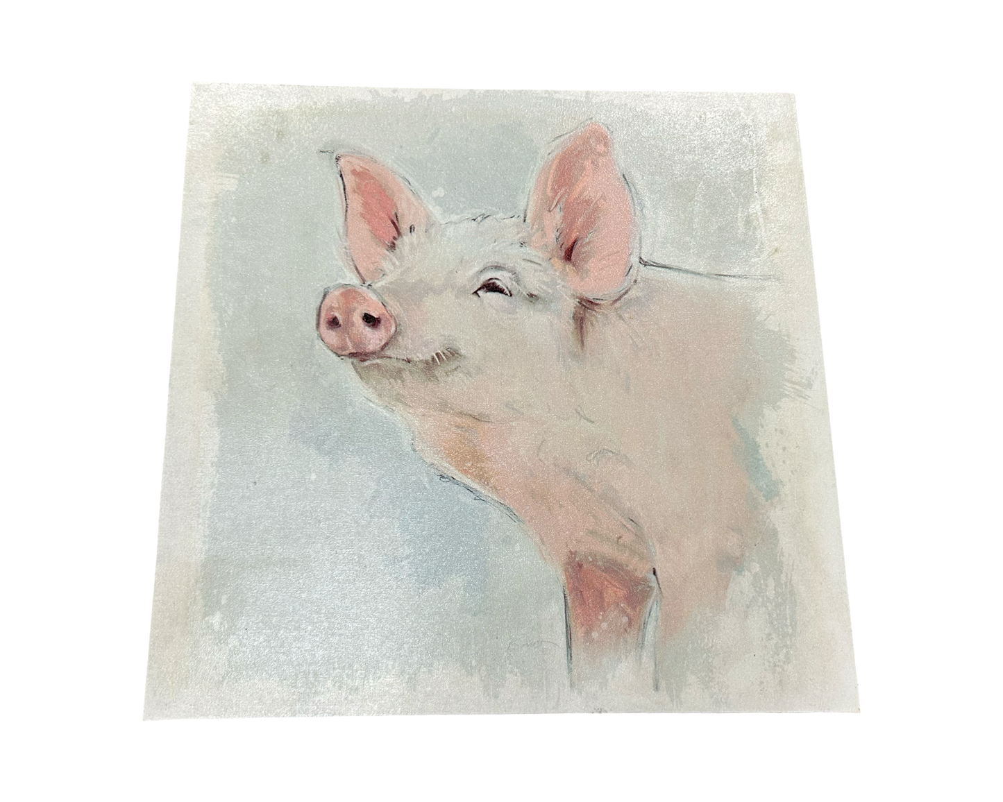 Canvas decor no shipping