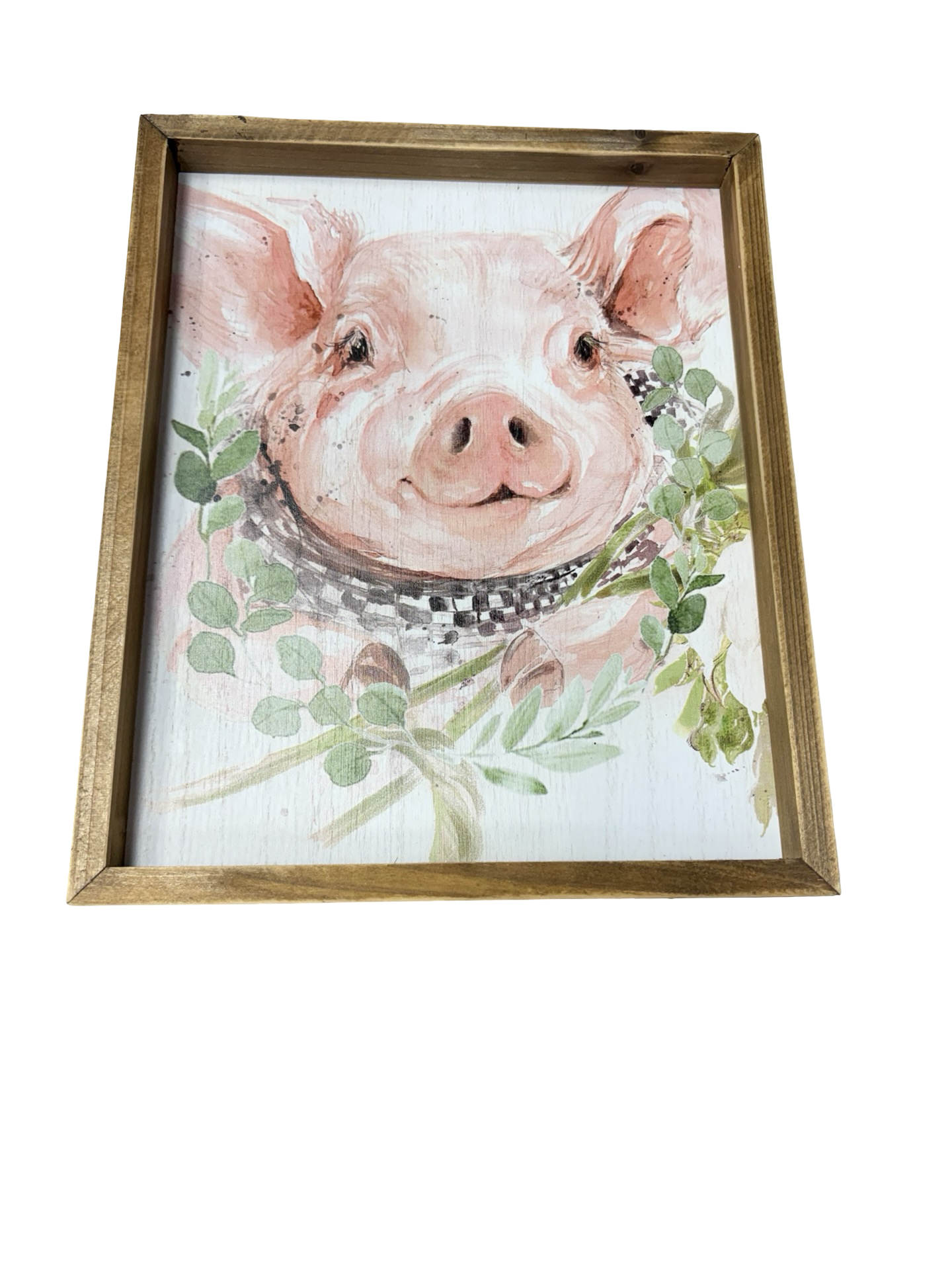 Cute small pig picture