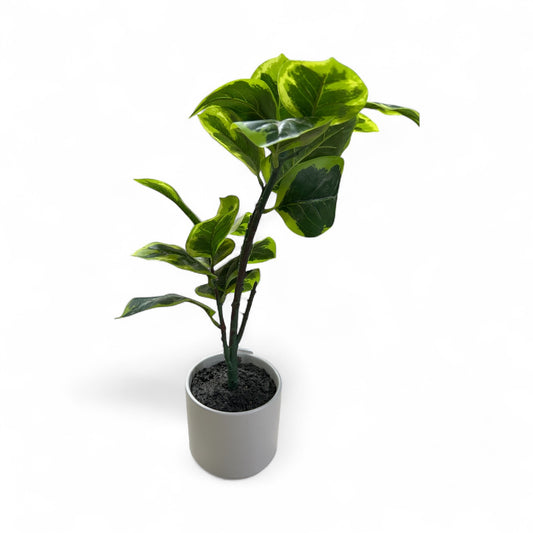 Fake plant