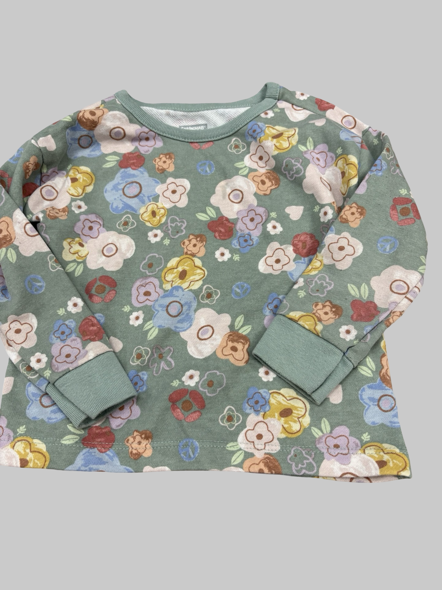 Girls shirt size  2T