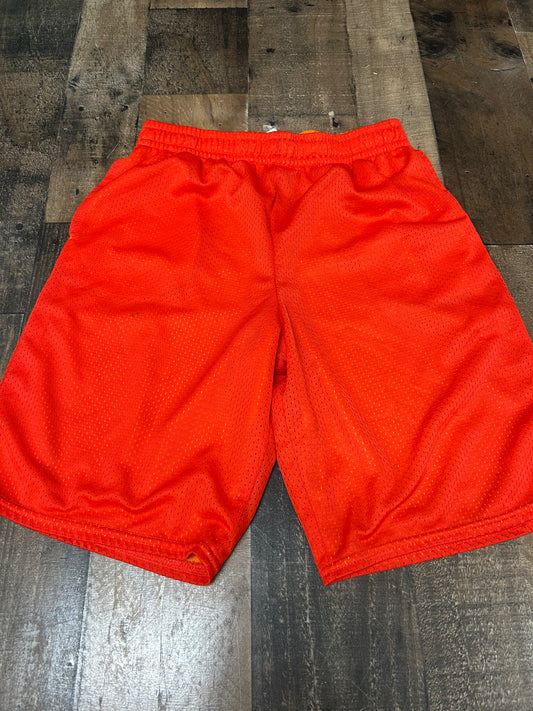 Boys 18 shorts stain